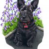 Art by Carmel Behan Products